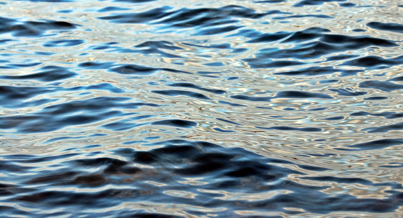 Ricerca ed innovazione per l’economia blu sostenibile: il paradigma di Venezia e le prospettive europee